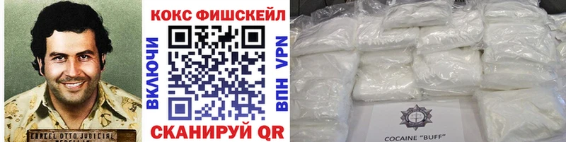 где можно купить Болотное дарк нет как зайти КОКАИН Fish Scale