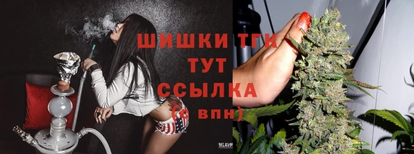 винт Лиски