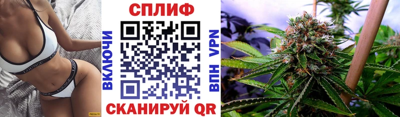 Марихуана сатива  ОМГ ОМГ ссылки  Болотное 